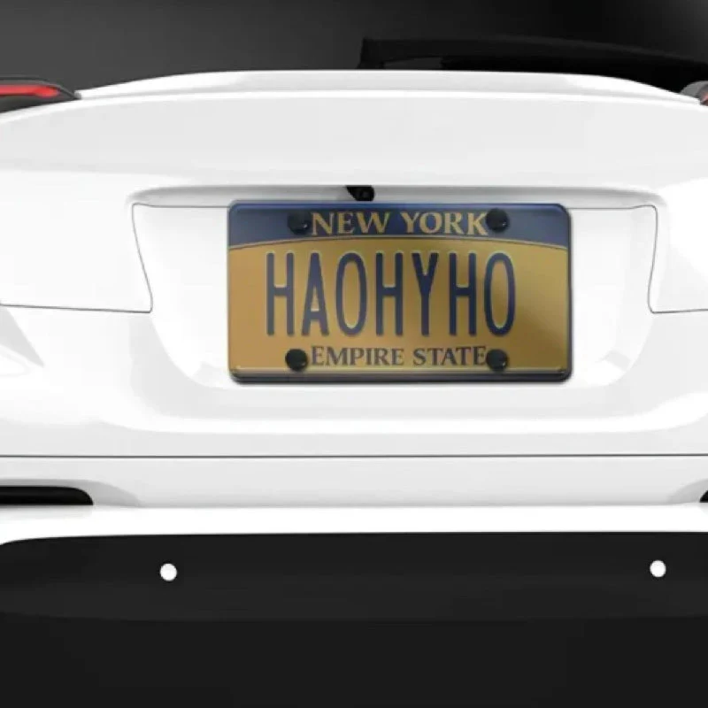 License Plate Protector - Image 4