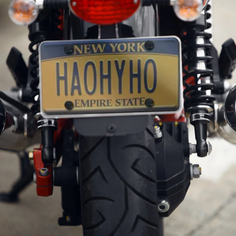 License Plate Protector - Image 6