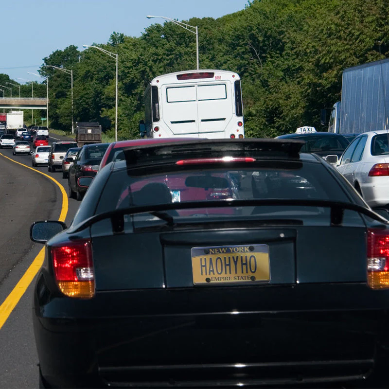 License Plate Protector - Image 7